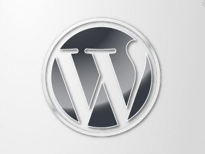 wordpress_rastgele_flash