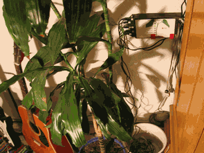 PC Controlled Flower Watering Circuit with ATmega8