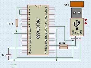 PIC18F4550 PIC18F2550  USB Project VisualBasic Circuit