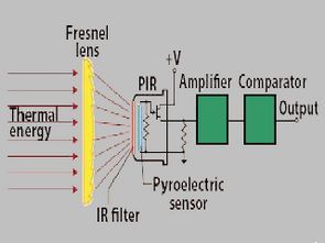 PIR Motion Detector Control Circuit PIR-325 - Electronics ...