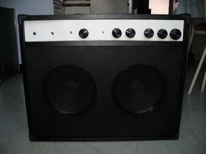 TDA7293 Guitar Combo Amplifier Projects