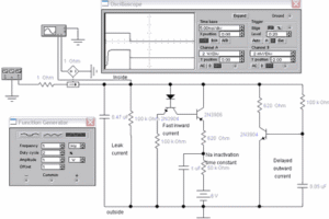 Electronic Workbench Devreleri EWB Circuits