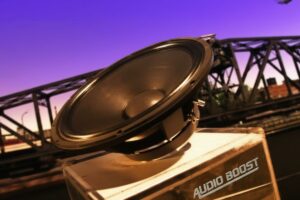 Woofer Bass Hoparlör Yapımı Video Ses Sargısı, Mıknatıs ve Koni Üretimi