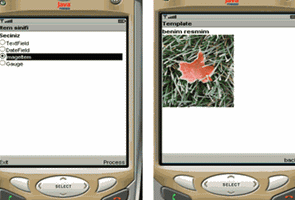 Java2 Micro Edition (J2ME) ve GSM