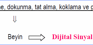 Sayısal İşaret İşlemeye Giriş DSP Hakkında
