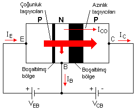 pnp-transistor-tasiyicilar