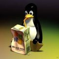 Linux’ta Pic Programlama Dersleri 10 Bölüm