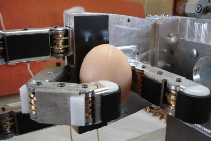 robot-kol-yumurta