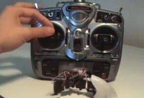Uzaktan kumandalı robot balık
