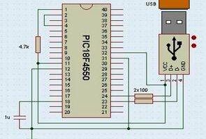 USB Projeleri Visual Basic microchip 18f2550 18f4550