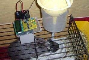 Otomatik tavşan besleme sistemi ATmega8 Pascal