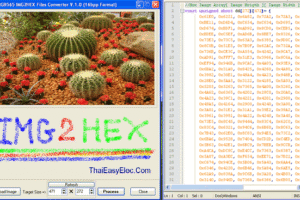 Resimleri Hex Formatına Çeviren Program