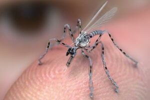Casus Sinekler Nano Quadrotorlar Vesaire
