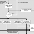 Xilinx ML402 FPGA Gömülü Plaka Tanıma Sistemi (PTS)