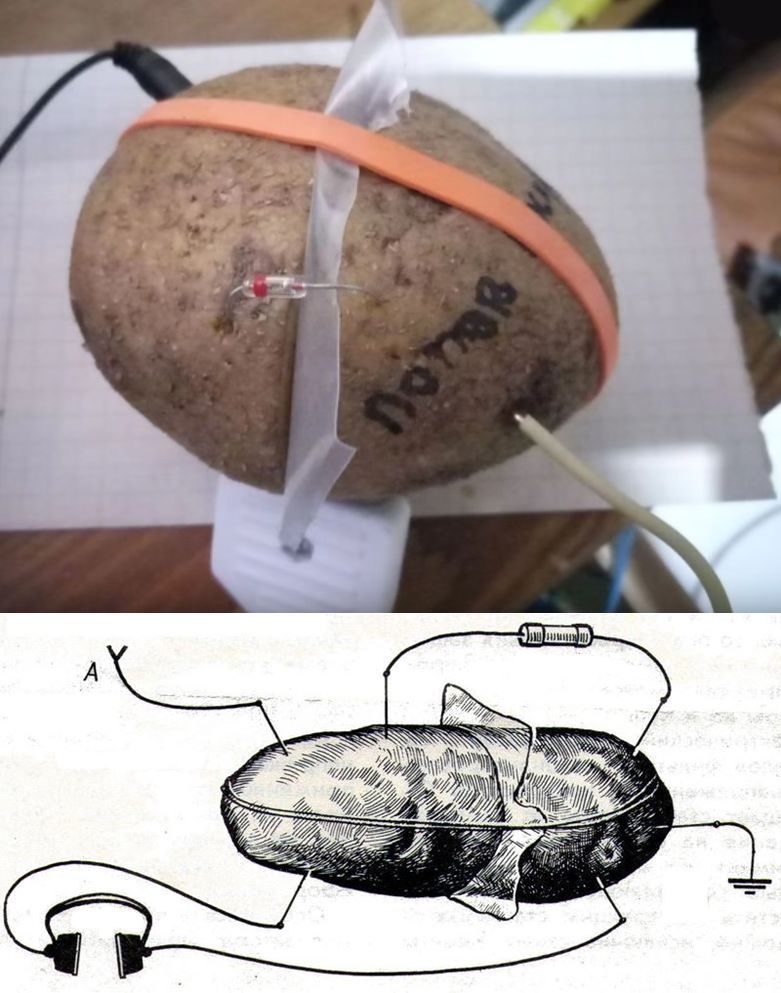 patates-radyo-alicisi-potato-radio-receiver-circuit