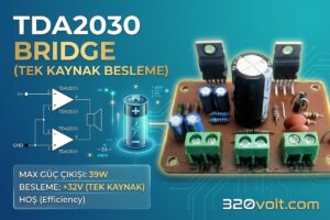 TDA2030 Bridge (Tek Kaynak Besleme)
